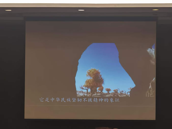 綿陽中旅行假日旅行社舉行胡楊林、南疆專列推薦會